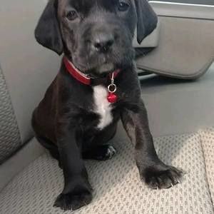 Meet your Posher, Tara